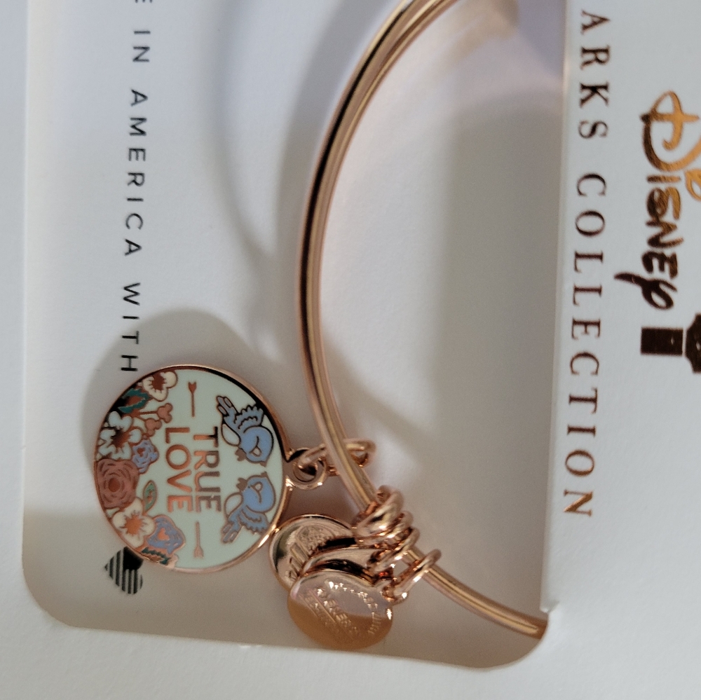 Alex and Ani true love Bracelet